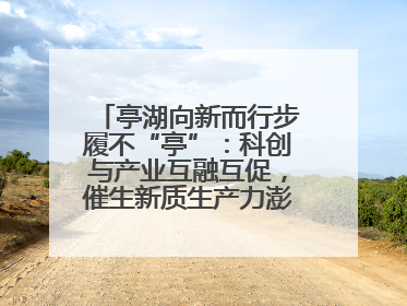 亭湖向新而行步履不“亭”：科创与产业互融互促，催生新质生产力澎湃动能