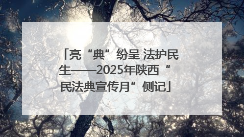 亮“典”纷呈 法护民生——2025年陕西“民法典宣传月”侧记