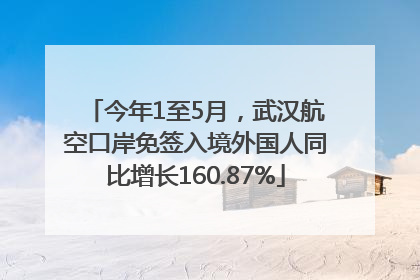 今年1至5月，武汉航空口岸免签入境外国人同比增长160.87%