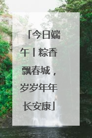 今日端午丨粽香飘春城，岁岁年年长安康