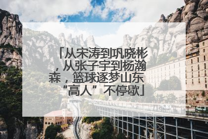 从宋涛到巩晓彬，从张子宇到杨瀚森，篮球逐梦山东“高人”不停歇