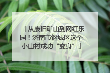 从废旧矿山到网红乐园！济南市钢城区这个小山村成功“变身”