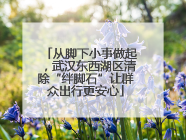 从脚下小事做起，武汉东西湖区清除“绊脚石”让群众出行更安心