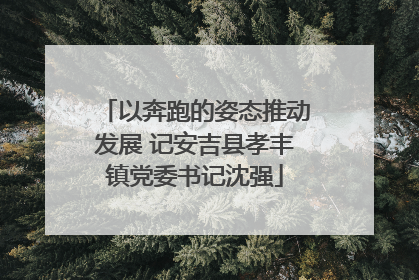 以奔跑的姿态推动发展 记安吉县孝丰镇党委书记沈强