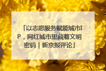 以志愿服务赋能城市IP，网红城市里藏着文明密码｜新京报评论