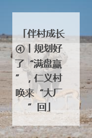 伴村成长④丨规划好了“满盘赢”，仁义村唤来“大厂”回