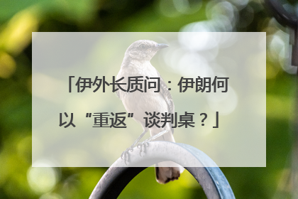 伊外长质问：伊朗何以“重返”谈判桌？