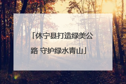 休宁县打造绿美公路 守护绿水青山
