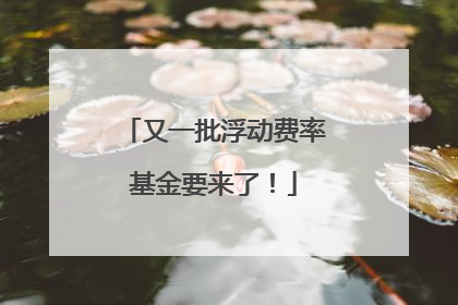 又一批浮动费率基金要来了！