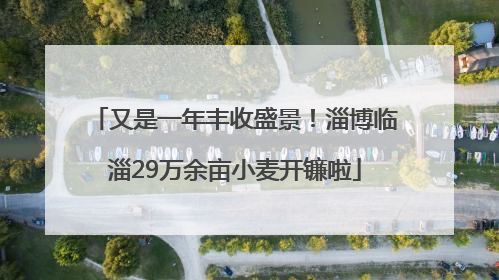 又是一年丰收盛景！淄博临淄29万余亩小麦开镰啦