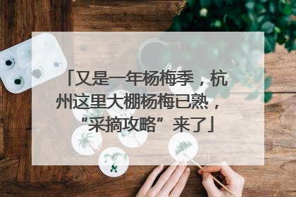 又是一年杨梅季，杭州这里大棚杨梅已熟，“采摘攻略”来了