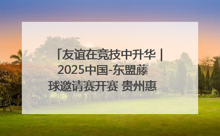 友谊在竞技中升华｜2025中国-东盟藤球邀请赛开赛 贵州惠水燃动“空中芭蕾”