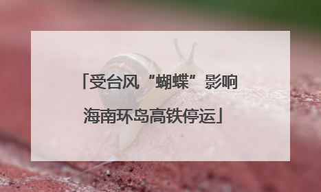 受台风“蝴蝶”影响 海南环岛高铁停运