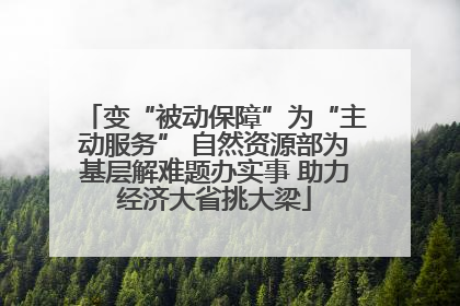 变“被动保障”为“主动服务” 自然资源部为基层解难题办实事 助力经济大省挑大梁