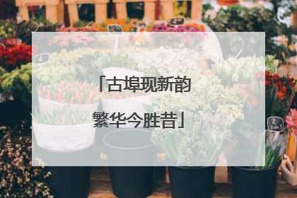 古埠现新韵 繁华今胜昔