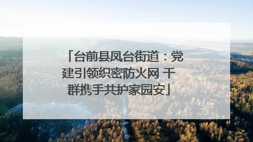 台前县凤台街道：党建引领织密防火网 干群携手共护家园安