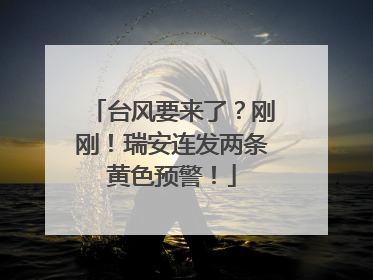 台风要来了？刚刚！瑞安连发两条黄色预警！