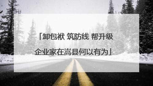 卸包袱 筑防线 帮升级 企业家在嵩县何以有为
