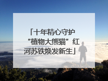 十年精心守护 “植物大熊猫”红河苏铁焕发新生