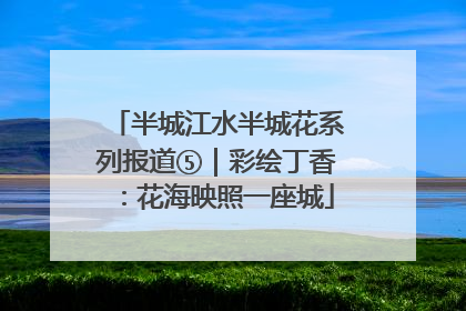 半城江水半城花系列报道⑤｜彩绘丁香：花海映照一座城