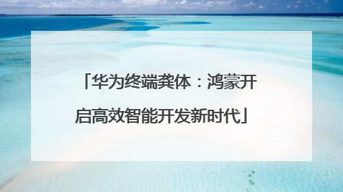 华为终端龚体：鸿蒙开启高效智能开发新时代