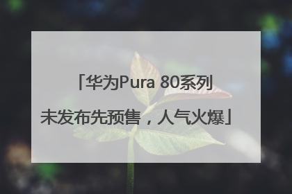 华为Pura 80系列未发布先预售，人气火爆