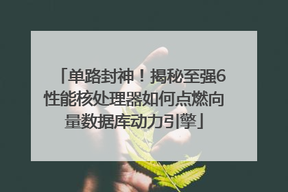 单路封神！揭秘至强6性能核处理器如何点燃向量数据库动力引擎