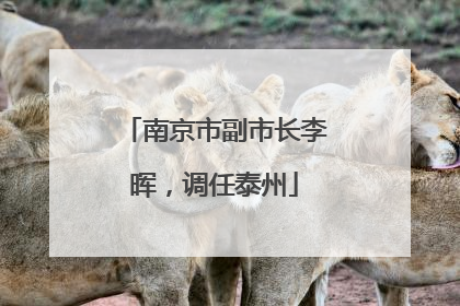 南京市副市长李晖，调任泰州