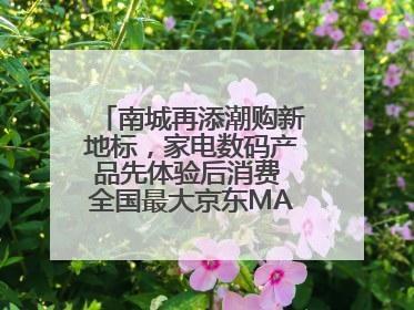 南城再添潮购新地标，家电数码产品先体验后消费 全国最大京东MALL开业