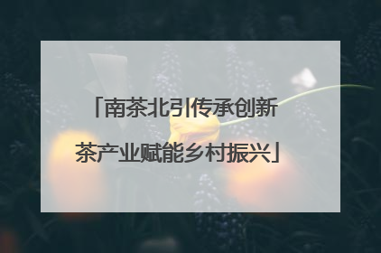 南茶北引传承创新 茶产业赋能乡村振兴