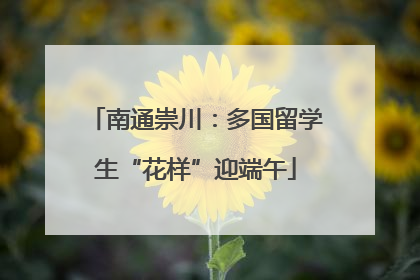 南通崇川：多国留学生“花样”迎端午