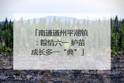 南通通州平潮镇：粽情六一 护苗成长多一“典”