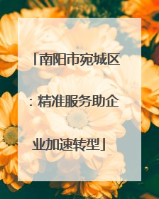 南阳市宛城区：精准服务助企业加速转型