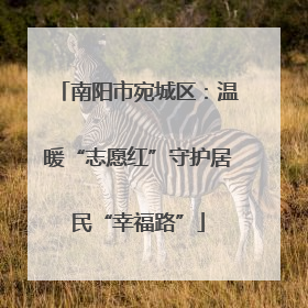 南阳市宛城区：温暖“志愿红”守护居民“幸福路”