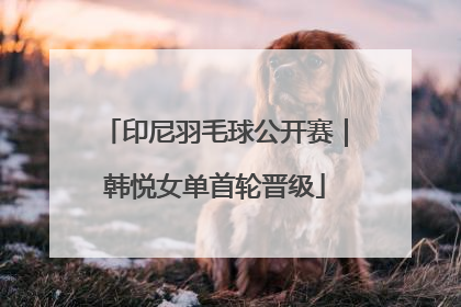 印尼羽毛球公开赛｜韩悦女单首轮晋级