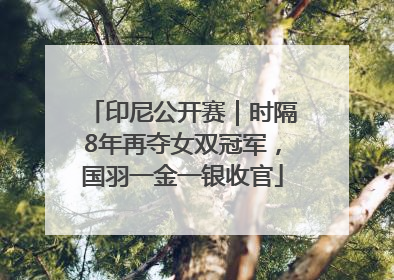 印尼公开赛｜时隔8年再夺女双冠军，国羽一金一银收官