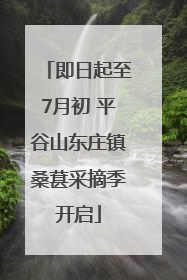 即日起至7月初 平谷山东庄镇桑葚采摘季开启