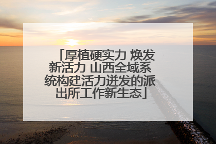 厚植硬实力 焕发新活力 山西全域系统构建活力迸发的派出所工作新生态