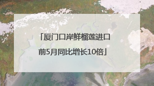 厦门口岸鲜榴莲进口 前5月同比增长10倍