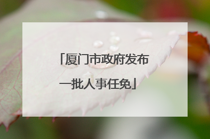 厦门市政府发布一批人事任免
