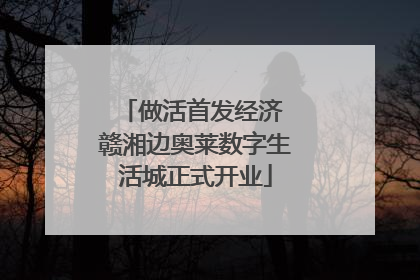 做活首发经济 赣湘边奥莱数字生活城正式开业
