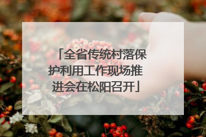 全省传统村落保护利用工作现场推进会在松阳召开