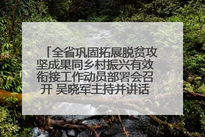 全省巩固拓展脱贫攻坚成果同乡村振兴有效衔接工作动员部署会召开 吴晓军主持并讲话 罗东川作安排部署