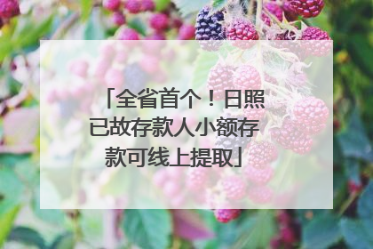 全省首个！日照已故存款人小额存款可线上提取