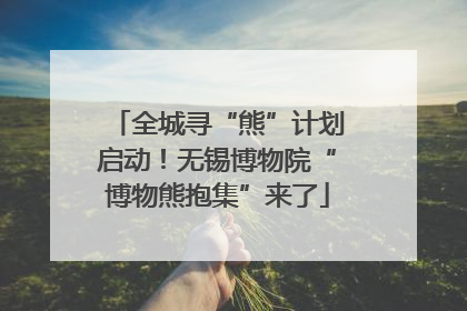 全城寻“熊”计划启动！无锡博物院“博物熊抱集”来了