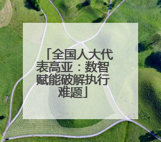全国人大代表高亚：数智赋能破解执行难题