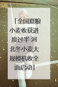 全国夏粮小麦收获进度过半 河北冬小麦大规模机收全面启动