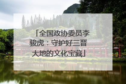 全国政协委员李骏虎：守护好三晋大地的文化宝藏