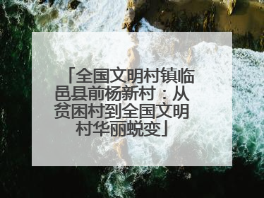 全国文明村镇临邑县前杨新村：从贫困村到全国文明村华丽蜕变