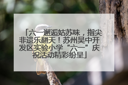 六一邂逅姑苏味，指尖非遗乐翻天！苏州吴中开发区实验小学“六一”庆祝活动精彩纷呈
